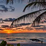 Boca Beach House