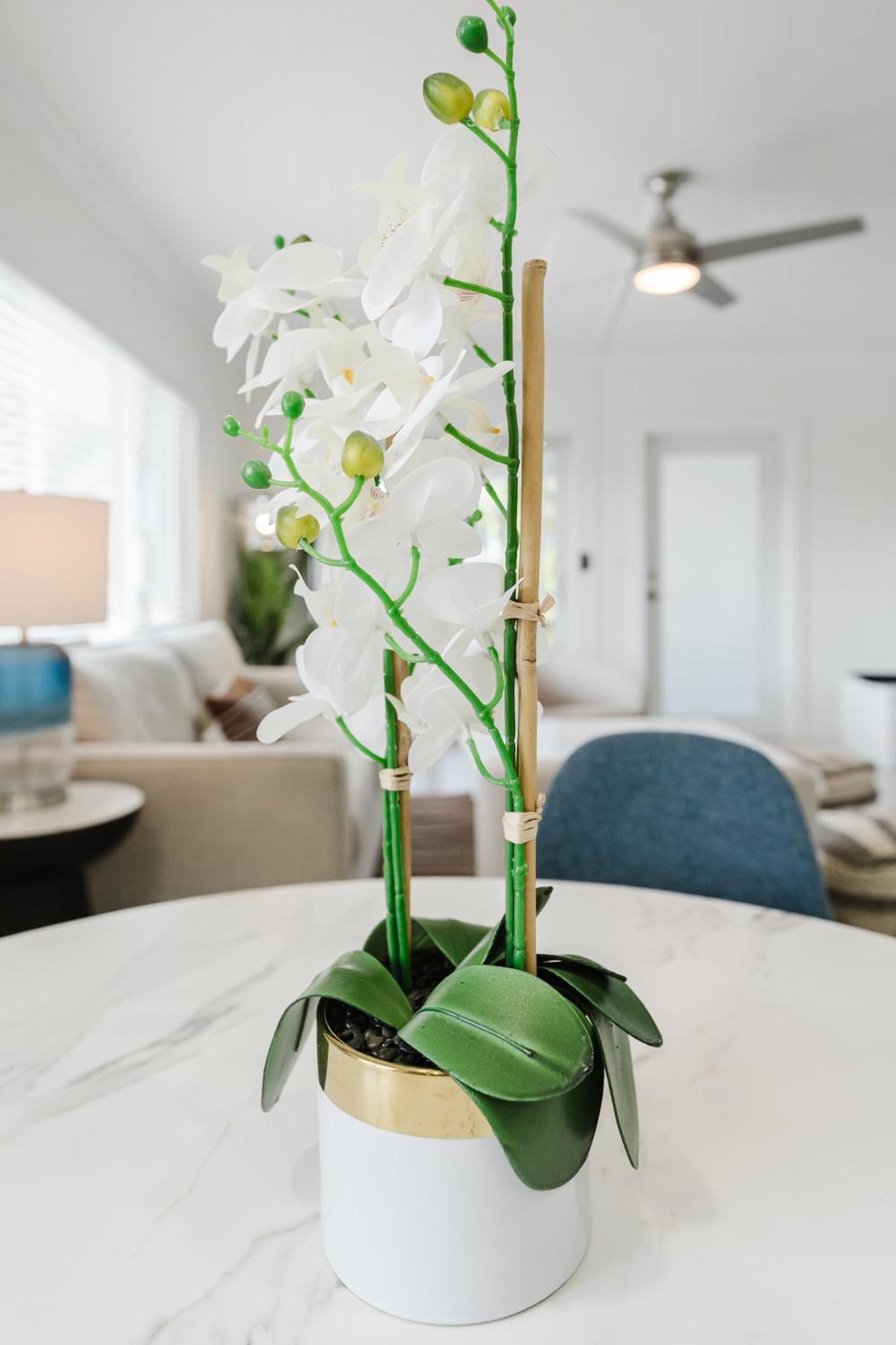 Apartment Serene Waterfront 2br 2ba With Intracoastal Views, Pool, Balcony, Parking *